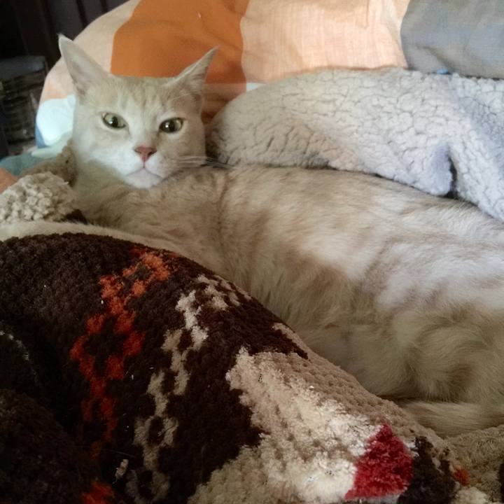 D5dabad2 a948 4604 947c e37ab7ed62e1