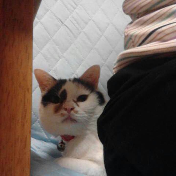 D5dbc7ca 4abb 48a0 bf5c c6b2d424bd04