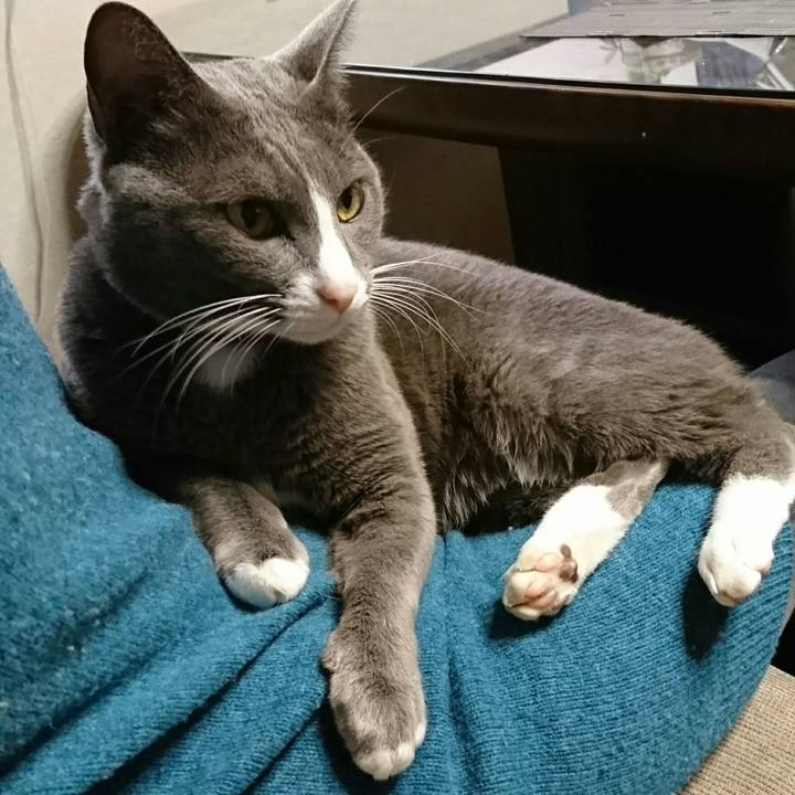 D5dc16e0 1fa6 4944 90da 1bc4eb5e1058