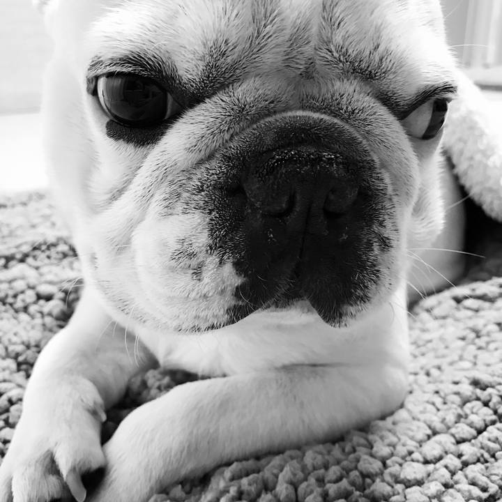 D5dc30b9 d746 4284 8391 fa9830fc7fa1