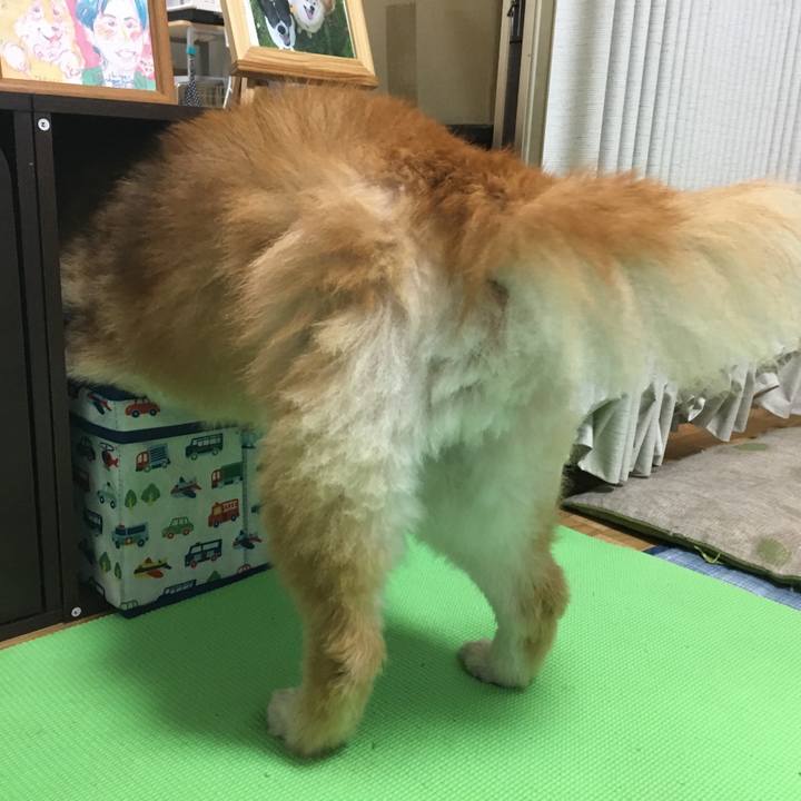 D5dc949b b9bf 4556 88d5 cad3a778a497