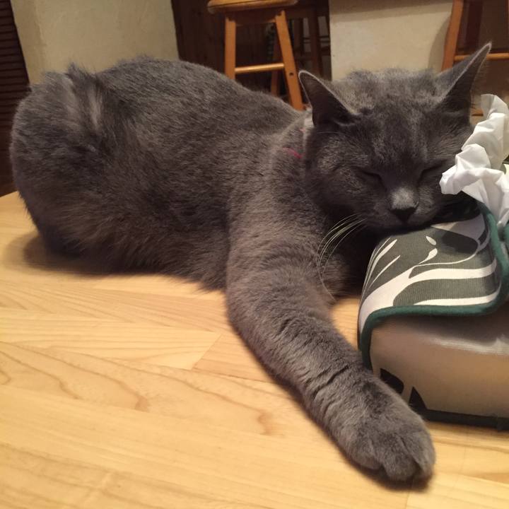 D5dec269 8519 49c9 a0ff 73747b7bf9f4