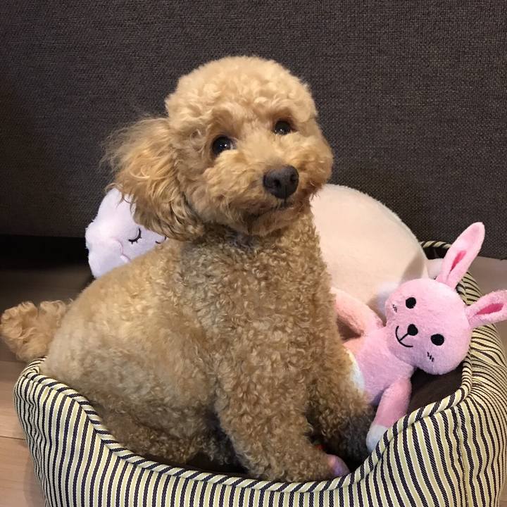 D5df396a 7a2f 4d4a a37c 8700bd08f51e