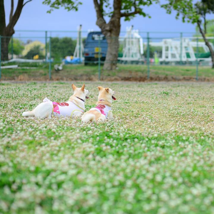 D5df39d1 5fa9 4588 9d94 a834d078da79