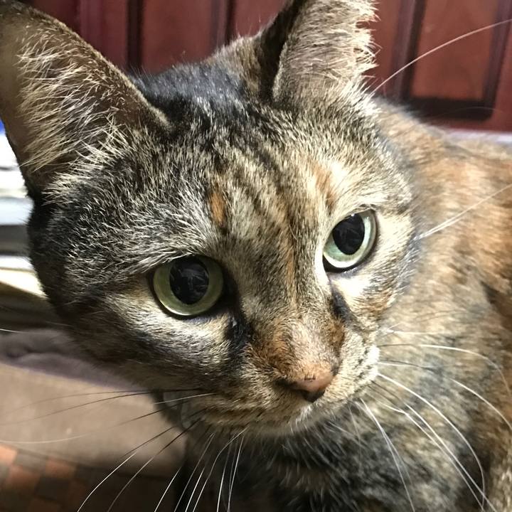 D5df4bbc f733 481a 83c4 fd4bf84d5a63