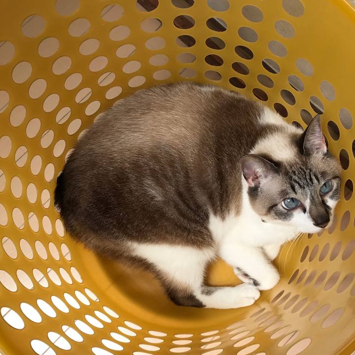 D5e03b8d c415 4e0a b5d7 81cc38014afd