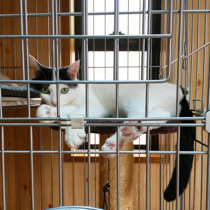 D5e0b88e f41a 49e6 aff7 f9e9ef329a93