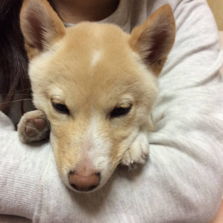 D5e149b0 410f 48f9 b0be 9fe1c502f80a