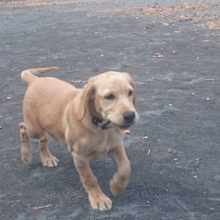 D5e14bd7 c224 4fd3 b85c f5f93295124e