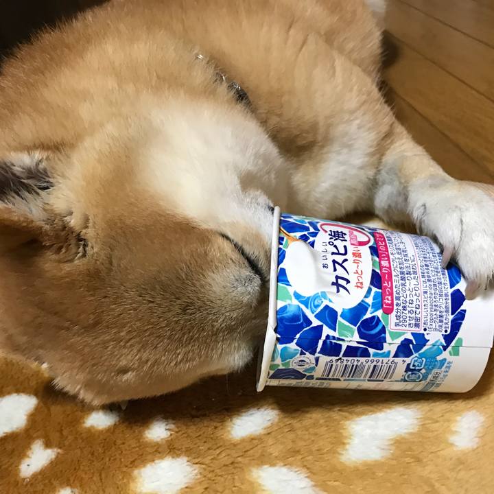 D5e1a64f 1c07 44c5 bab8 fb5575c161e1