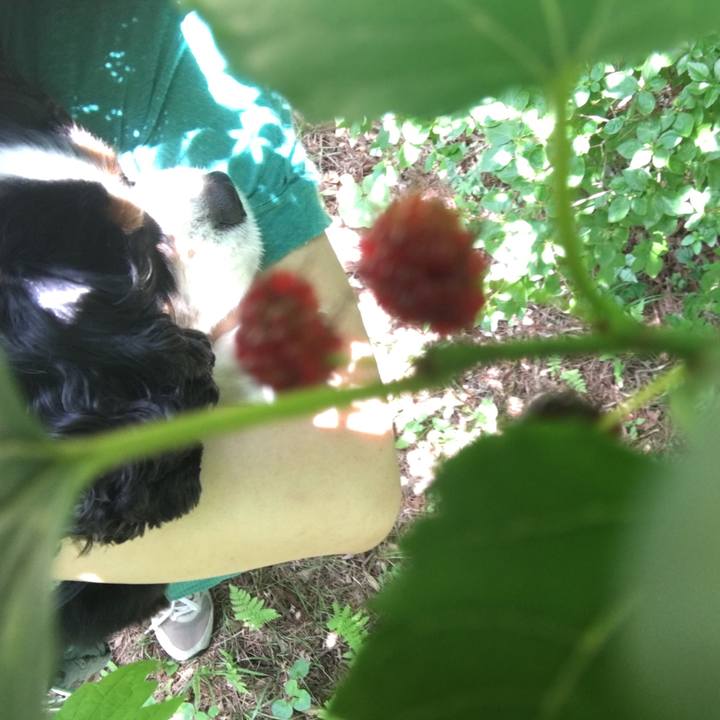 D5e267bd 268b 4b28 870e 2592c8a08abf