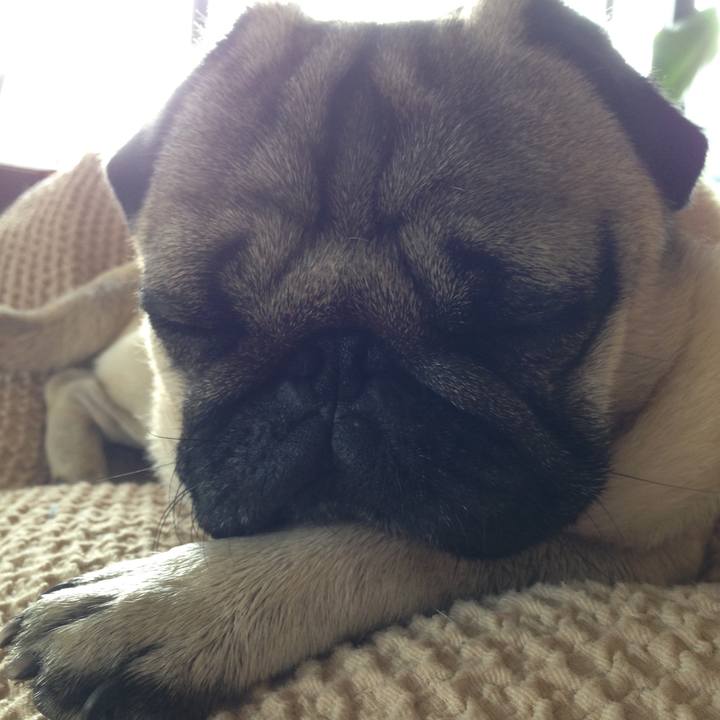 D5e3afa8 445b 4e91 8683 422b5a792a18