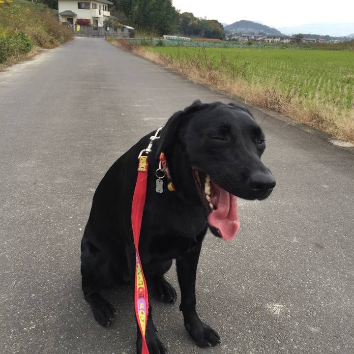 D5e3b6d9 e31d 4777 b377 05241ec5f273