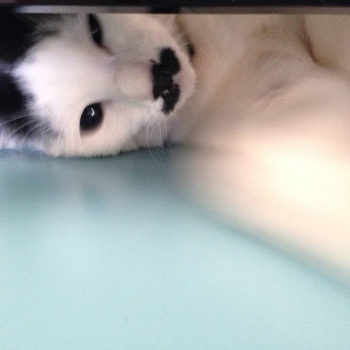 D5e406e3 90e1 4793 809b 7ef37162a476