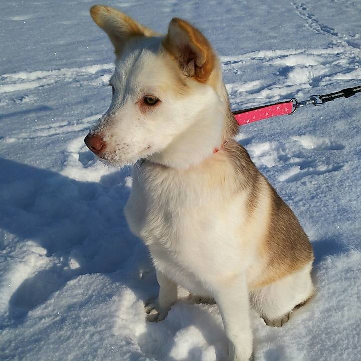 D5e58582 9e25 44d3 b16a 383fab4211ef