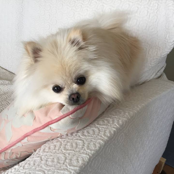 D5e5c4bc d650 409c abba 34af3d2be735