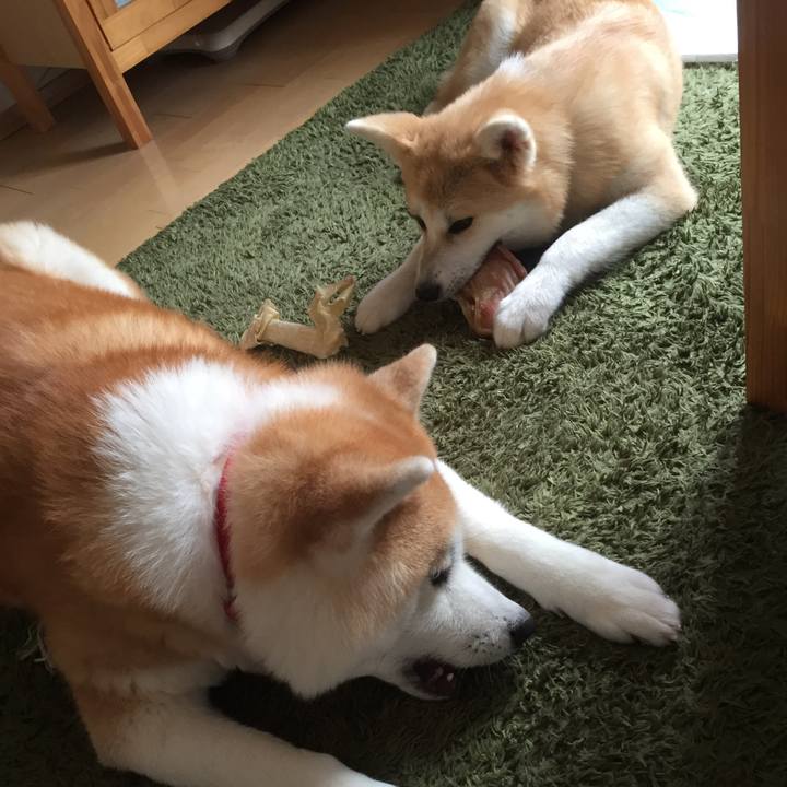 D5e6f7c6 106b 4142 af10 168ce19fb374