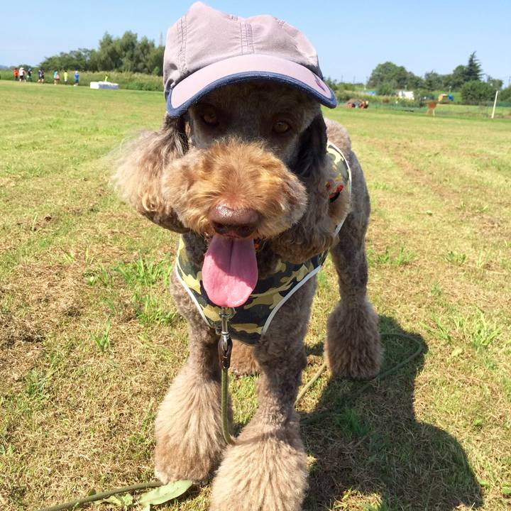 D5e72813 d365 45e9 8604 0899920abc1d