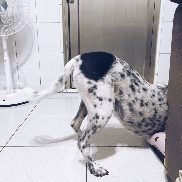 D5e83352 5468 462a a300 a1f70ffb12cd