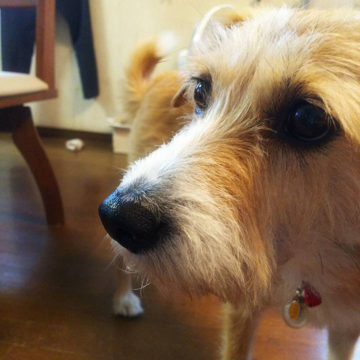 D5e83a37 68bd 4183 b926 e881751935db