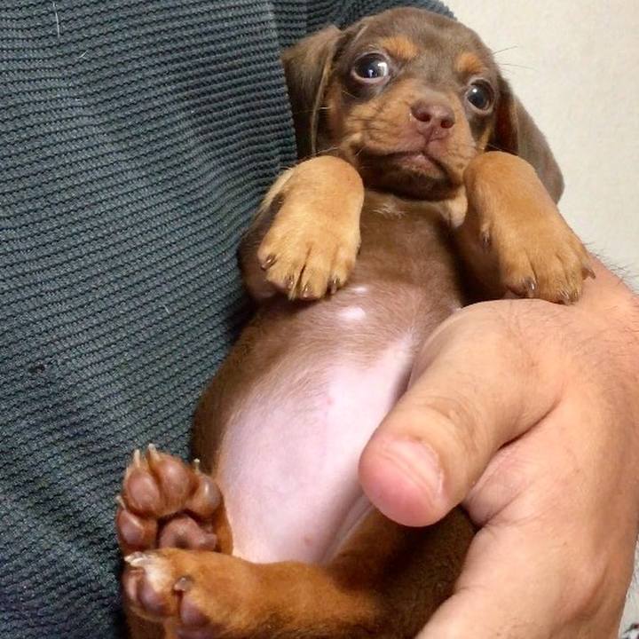 D5e8540c ec2a 4ff2 be86 bf985b9cc2a5