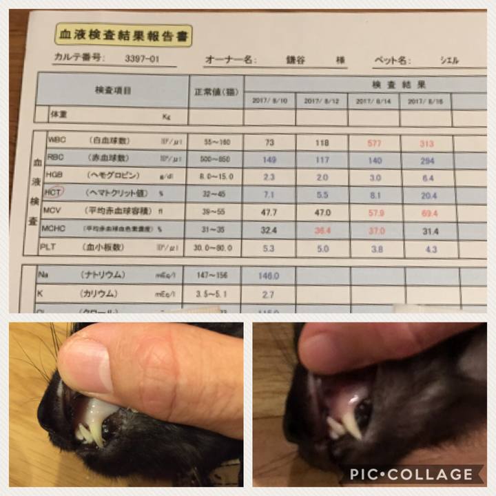 D5e86cea 75da 4e56 b32c 57056b9a3003