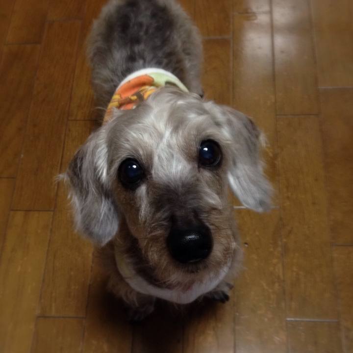 D5e90edd 66ae 4bf9 b276 b6b0df7bac6c