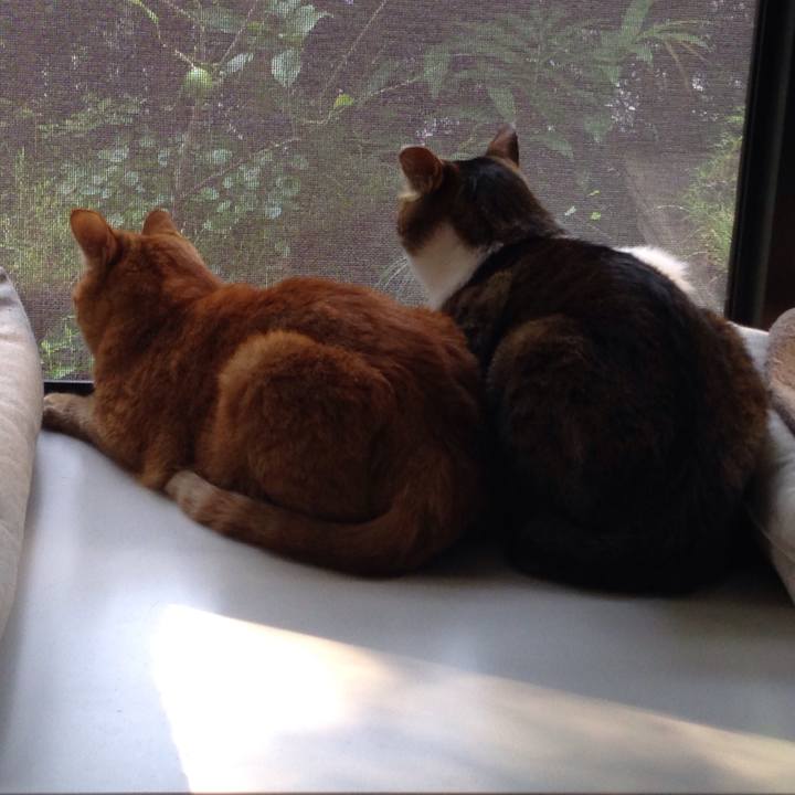 D5e94aee 72ff 4cc5 bff5 9f288d7e7299