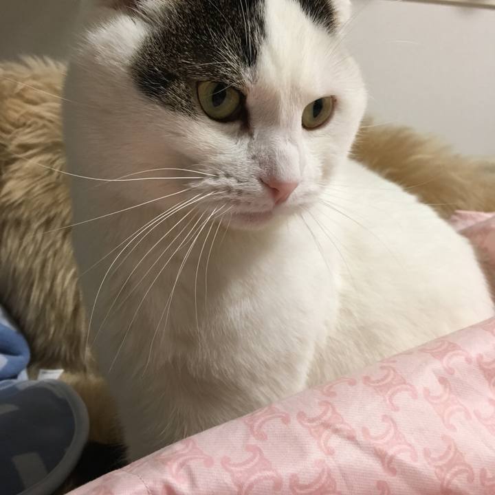 D5e9be94 a73c 4978 b7f2 ecc55f050157