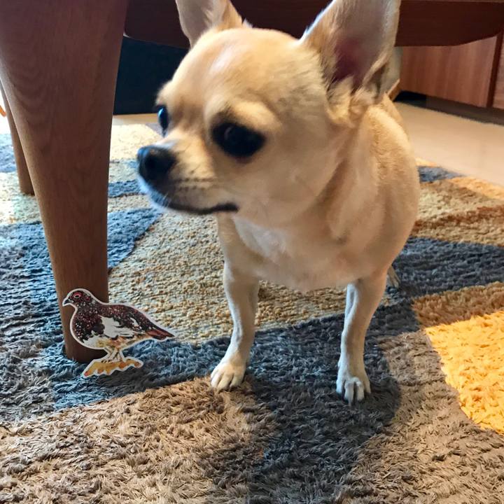 D5ea3e1c 6a60 4dca abbf e857f1d7035b