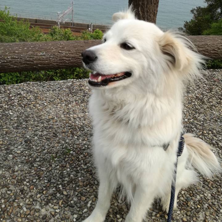 D5ead677 a83a 4034 b347 46b1d63e4aed