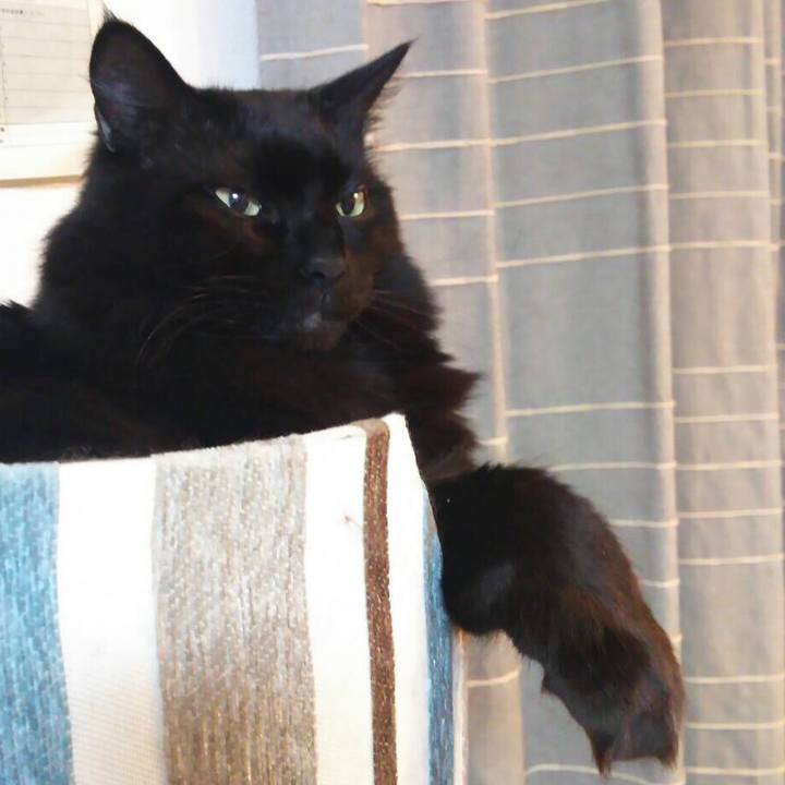 D5eb98db 8566 4417 aa6a 0c14913779b9