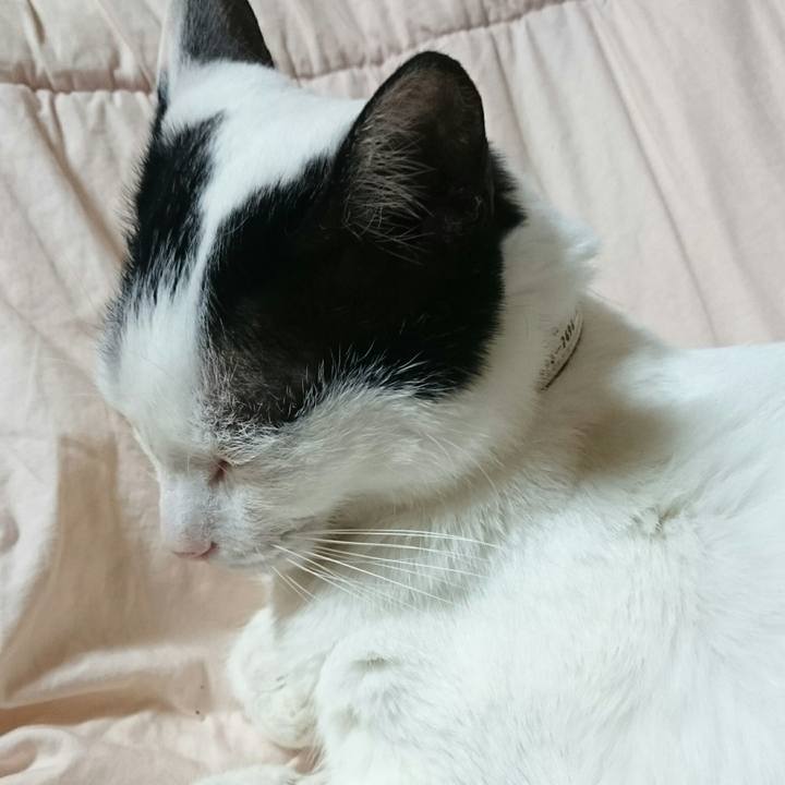 D5ebe8d3 3c18 4c5d 9e70 cc104b1abd7f