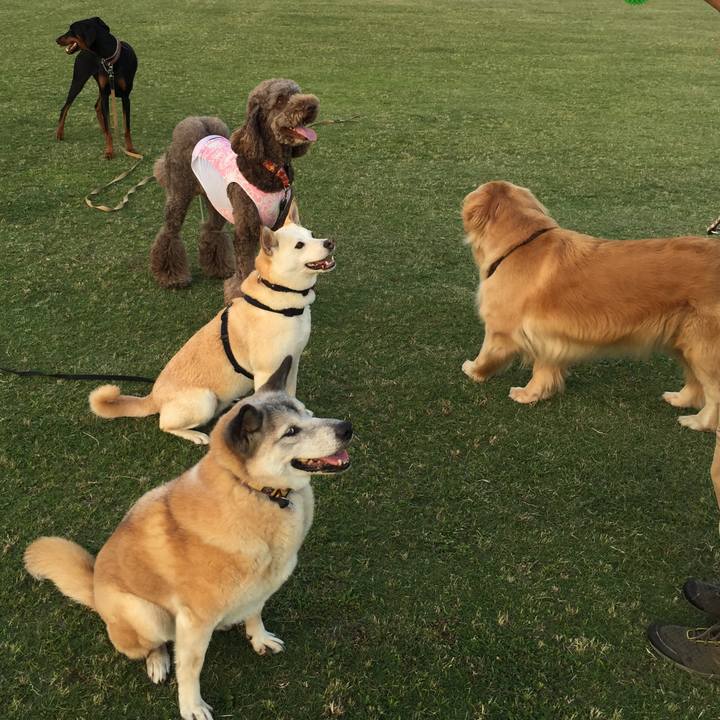 D5ec6eb9 b836 4f64 8950 077dfa9dc054