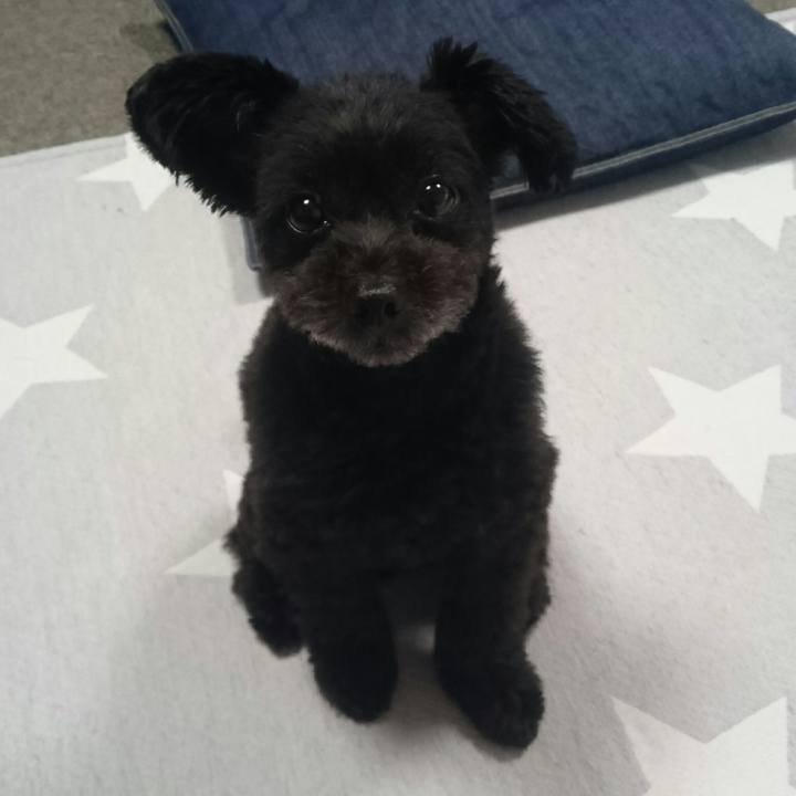 D5ec7309 c4fd 4801 be0d 98c0b41a5ed0