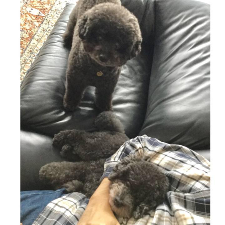 D5ed12f6 5f9d 4db9 a8a2 e3b0172ca7a6