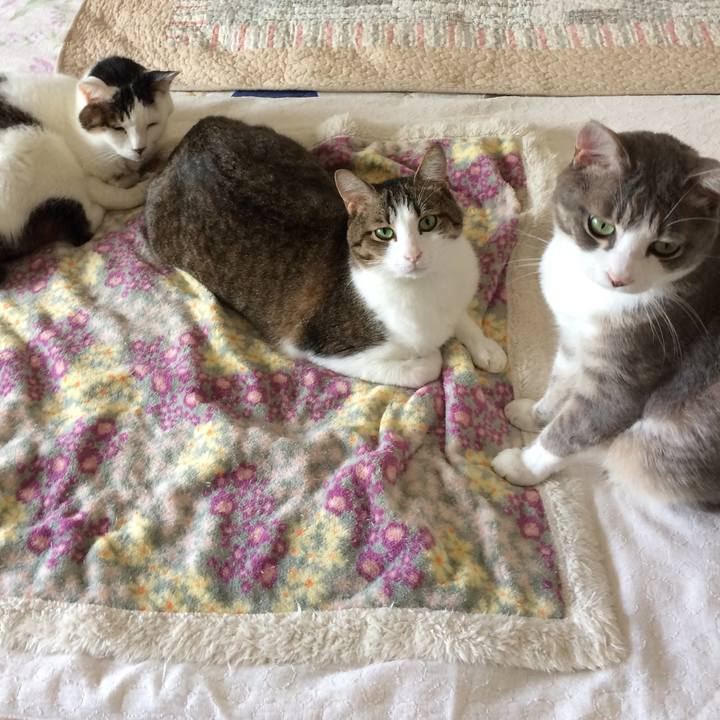 D5ed1f33 e7b5 4d59 95a3 5ef98d35570d