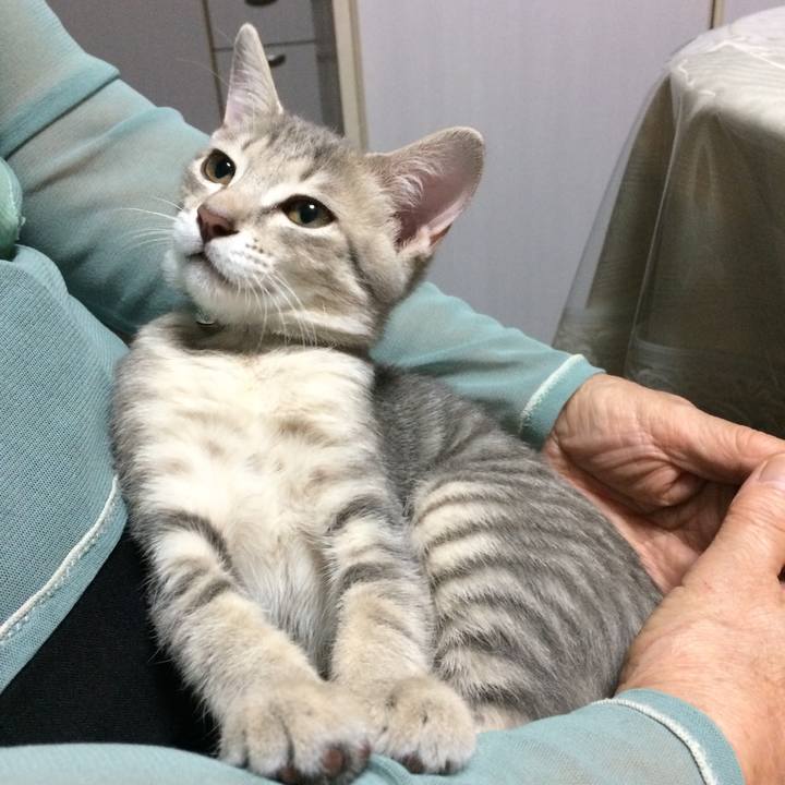 D5ed79c5 361f 430f 9cc7 c80db12a4fb8