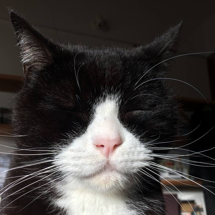 D5ed7c62 8eb5 46c0 9e42 ab7829793f01