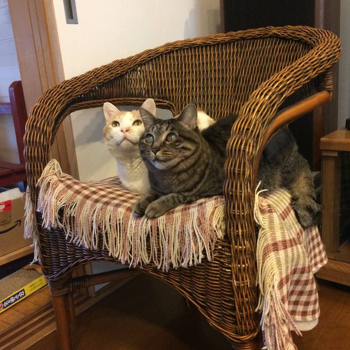 D5ed7d0e b41f 4aef 9d72 c1d80dafd626