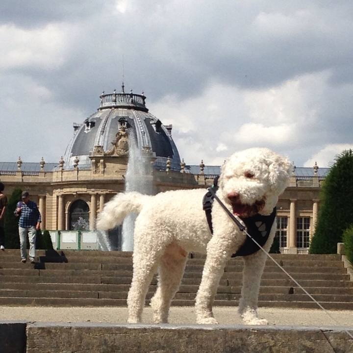 D5edc313 7d2d 46d2 ad48 16ab5e60f7f6