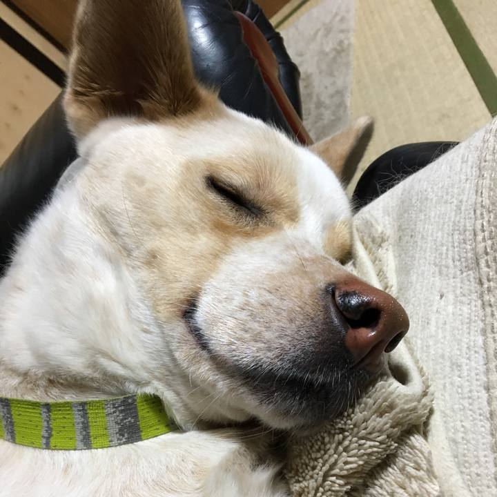 D5edd56b 05db 4f4c 95a8 55404acaa56f