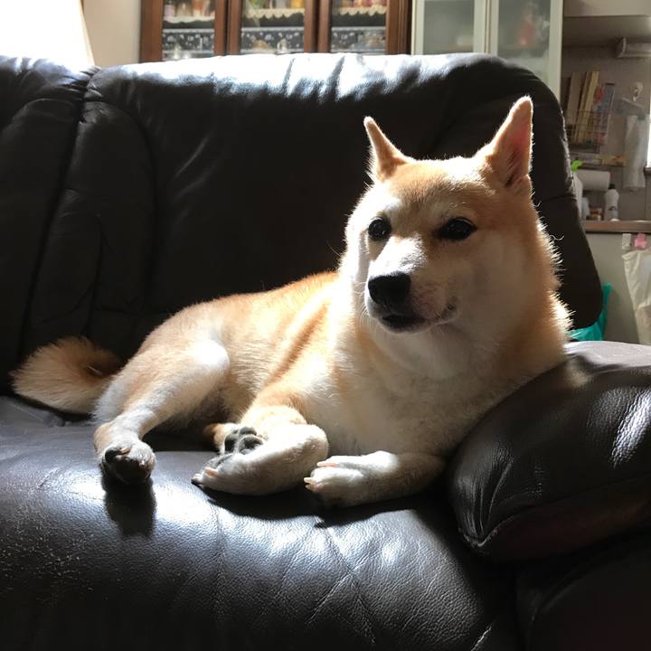 D5ee1935 a0a7 47a5 bb21 35449f3b51f2