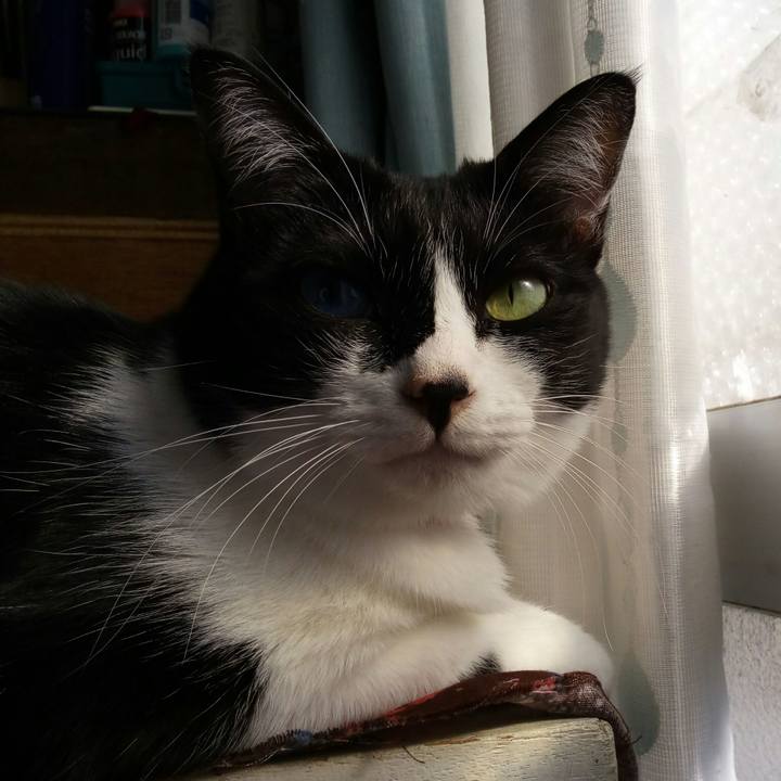 D5ee73bf bc79 482a b0cc 49c07ef2bfa6