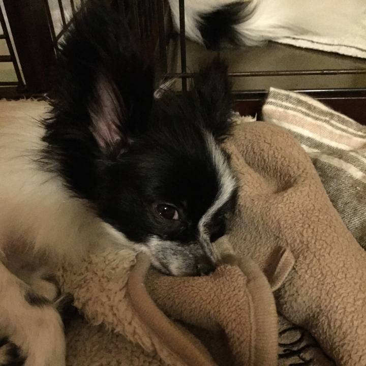 D5eee5b3 ff0f 4dae a2de b865edc9b04f