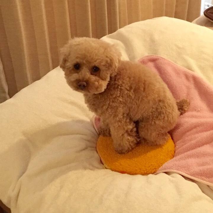 D5ef548b a7b0 44c1 8f49 86b8f59217ea