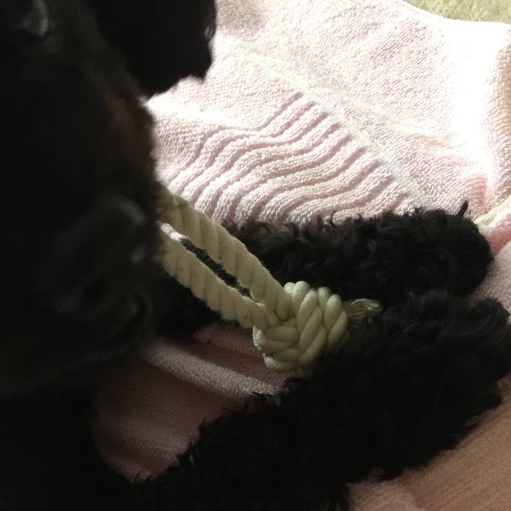 D5f16cd0 c941 4ddd 8976 5b436876c793