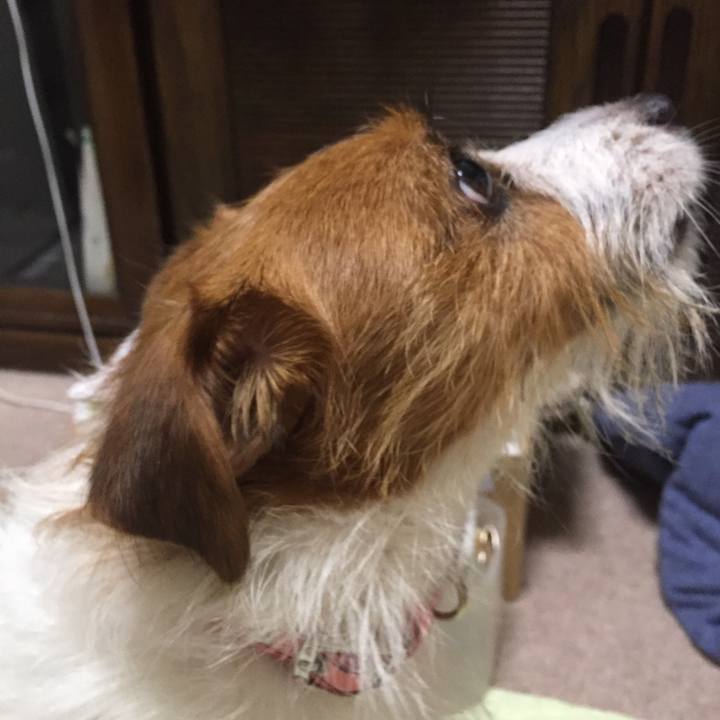 D5f1a74d eb49 4e43 ad78 ea26522fd7f8