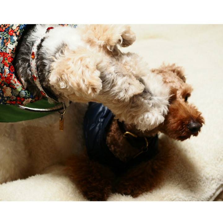 D5f1b691 bf62 4f1c 9542 ab96d1a22ace