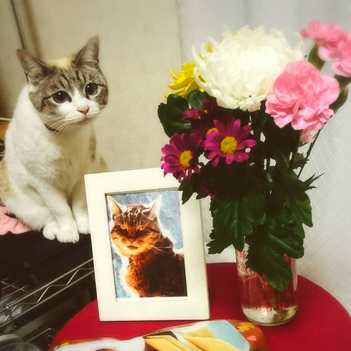 D5f2039d 0923 4c71 9c3d 241be2763769